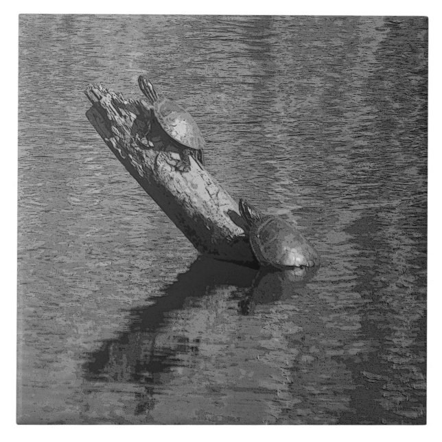 Schildkröte-Zeit setzt zwei Keramik-der Fliese (Vorderseite)