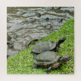 Schildkröten am Wasser Puzzle