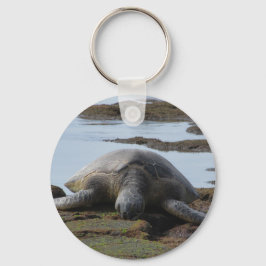 Schildkröten auf den Felsen Schlüsselanhänger