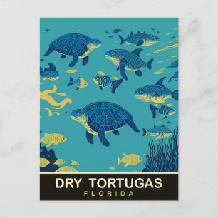 Schildkröten bei Dry Tortugas FL, Reise Postkarte
