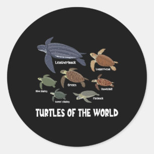 Schildkröten der Welt feiern Diversity Tortoise Runder Aufkleber