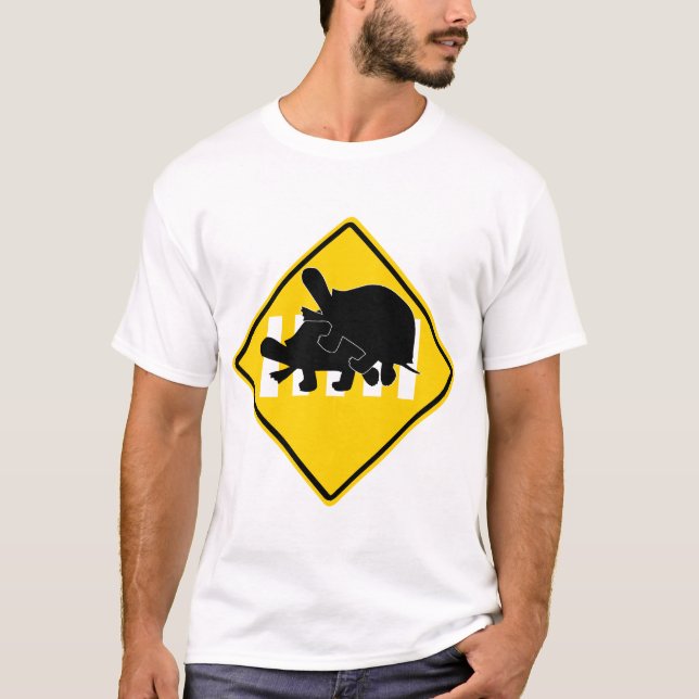 SCHILDKRÖTEN, DIE STRASSE KREUZEN T-Shirt (Vorderseite)