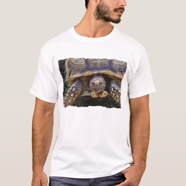 Schildkröten-Foto T-Shirt (Vorderseite)