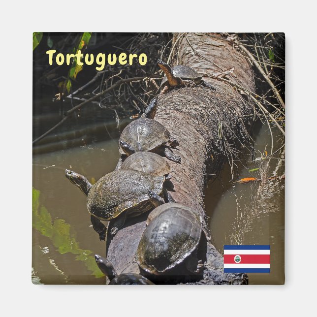Schildkröten im Tortuguero Nationalpark - Costa Ri Magnet (Vorne)