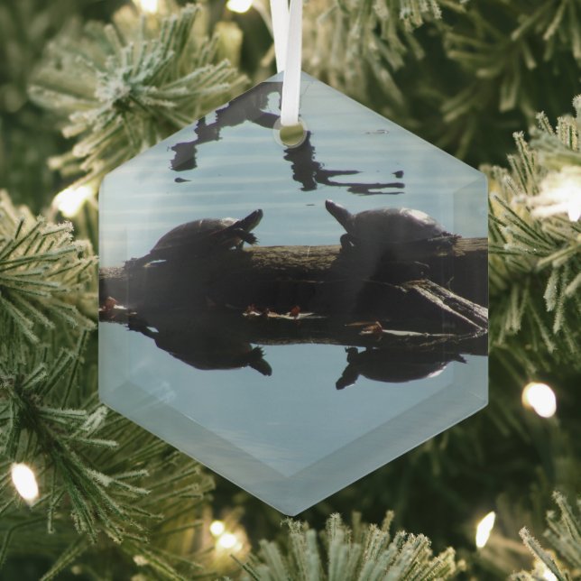 Schildkröten-Interaktions-Schmuck Ornament Aus Glas (Insitu)