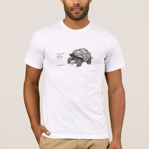 Schildkröten-Lappalien T-Shirt