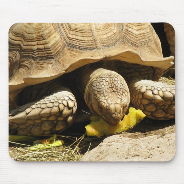 Schildkröten-Mausunterlage Mousepad (Vorne)
