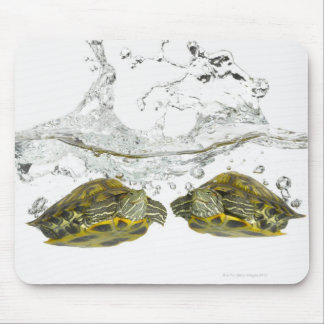 Schildkröten Mousepad