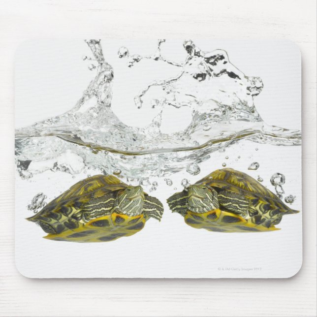 Schildkröten Mousepad (Vorne)