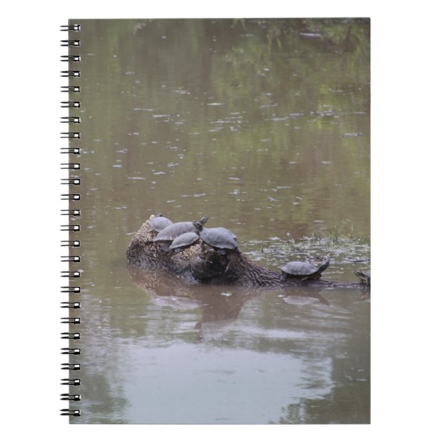 Schildkröten Notizblock (Vorderseite)