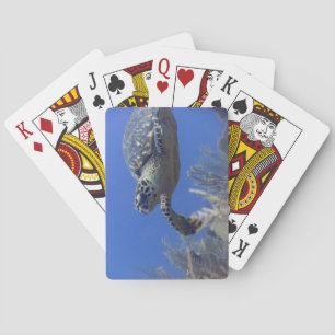 Schildkröten-Poker-Deck Spielkarten