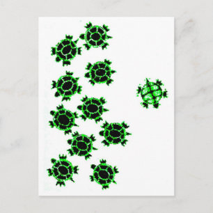Schildkröten Postkarte
