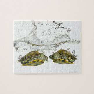 Schildkröten Puzzle