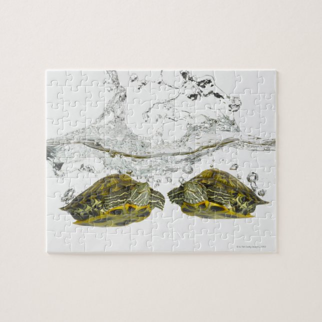 Schildkröten Puzzle (Horizontal)