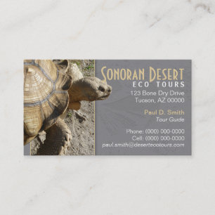 Schildkröten-/Schildkröte-Visitenkarte Visitenkarte