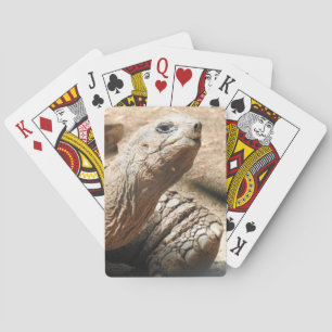 Schildkröten-Spielkarten Spielkarten