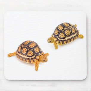 Schildkröten-Treffen Mousepad