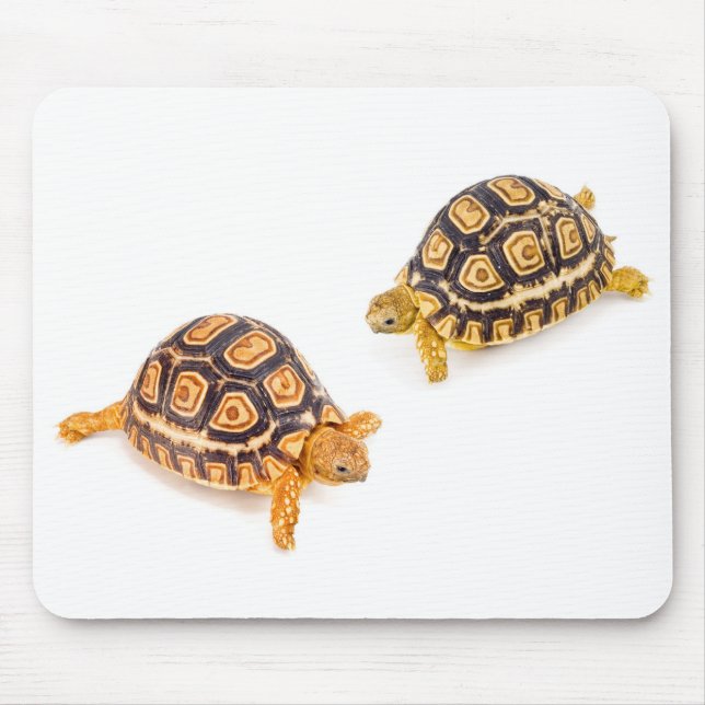 Schildkröten-Treffen Mousepad (Vorne)