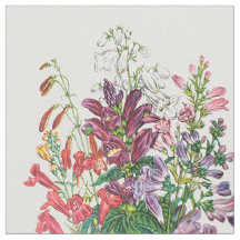 Schildkröten und Beardtongues