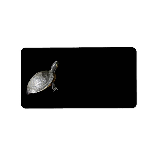 Schildkrötenanschrift Adressaufkleber (Vorne)