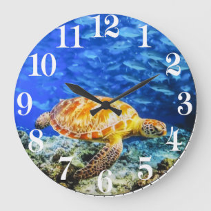 Schildkrötenbild für die Acrylwand Große Wanduhr