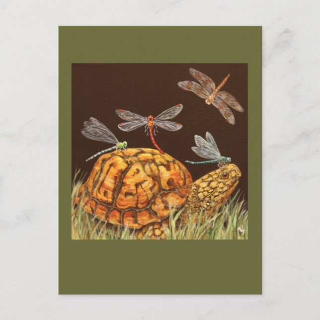 Schildkrötenbus Postkarte (Vorderseite)