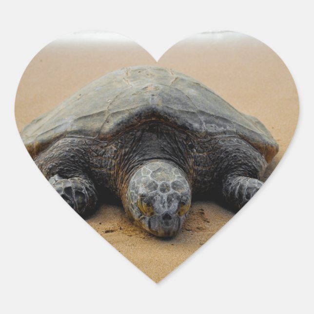 Schildkrötenkleber Herz-Aufkleber (Vorderseite)