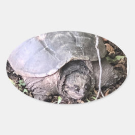 Schildkrötenkleber Ovaler Aufkleber