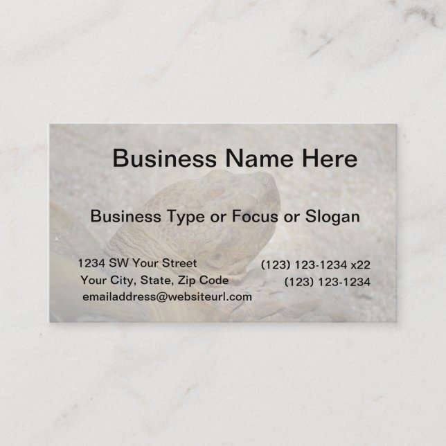 Schildkrötenkopf nah alte Schildkröte Visitenkarte (Vorderseite)