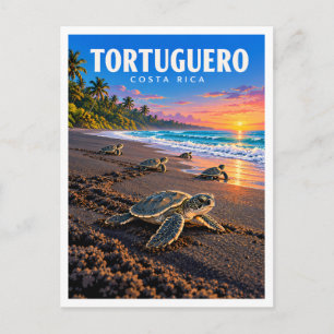 Schildkrötennachwuchs im Nationalpark Tortuguero Postkarte