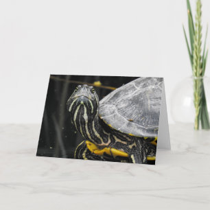 Schildkrötennotecard Karte