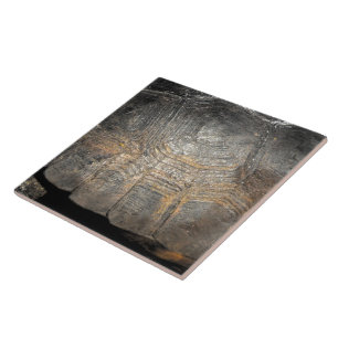 Schildkrötenpanzer der Gopherschildkröte Fliese