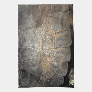 Schildkrötenpanzer der Gopherschildkröte Küchentuch