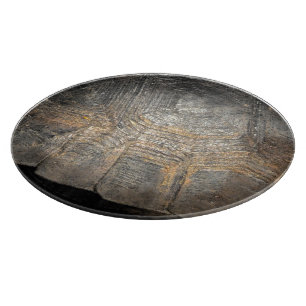Schildkrötenpanzer der Gopherschildkröte Schneidebrett