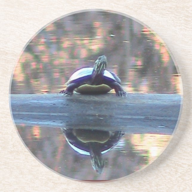 Schildkrötenreflektion Untersetzer (Vorne)