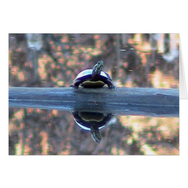 Schildkrötenreflektionskarte (Vorderseite (Horizontal))