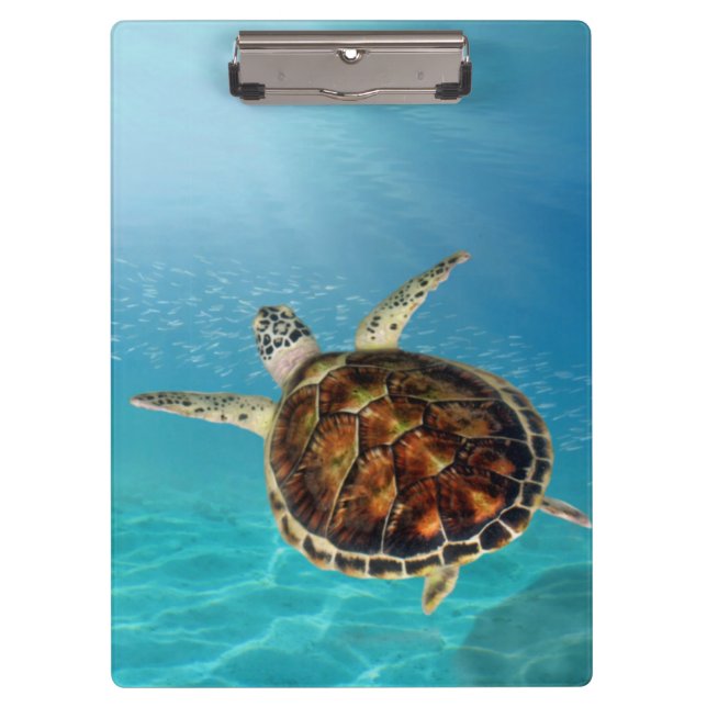 Schildkrötenschwimmen unter Wasser Klemmbrett (Vorderseite)