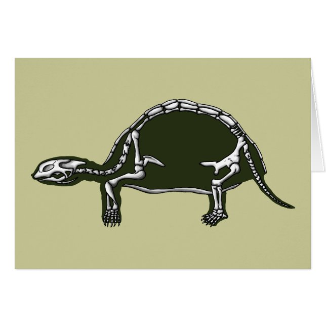 Schildkrötenskelett (Vorderseite (Horizontal))