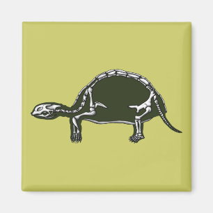 Schildkrötenskelett Magnet