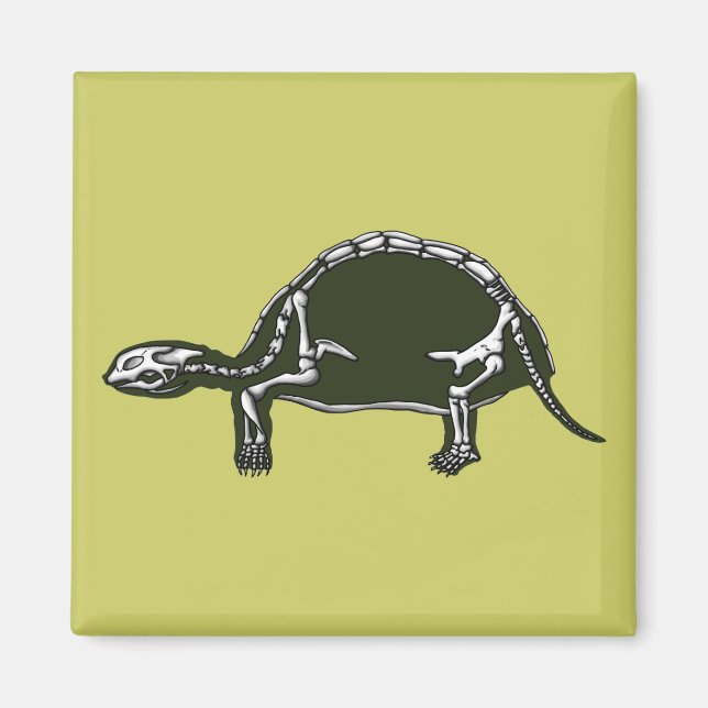 Schildkrötenskelett Magnet (Vorne)