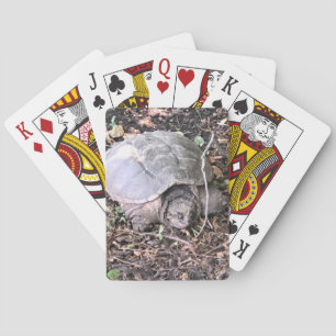 Schildkrötenspielkarten Spielkarten