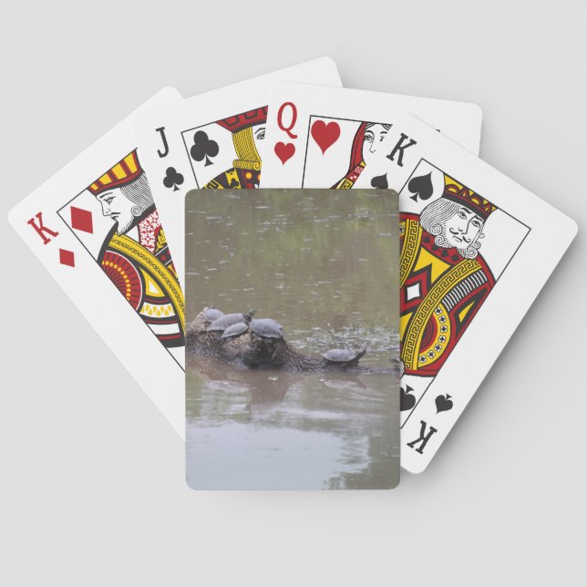 Schildkrötenspielkarten Spielkarten (Rückseite)