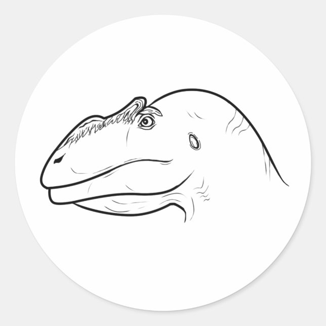 Schildkrötensticker Runder Aufkleber (Vorderseite)