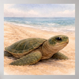 Schildkrötenstrand poster