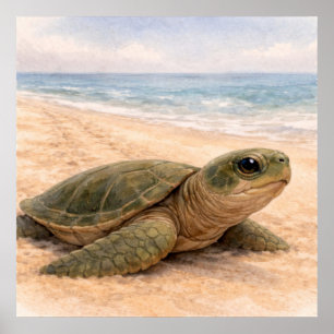 Schildkrötenstrand  poster