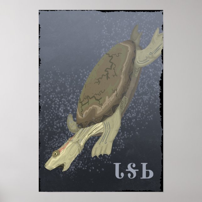 Schildkrötentauchen zu tief poster (Vorne)