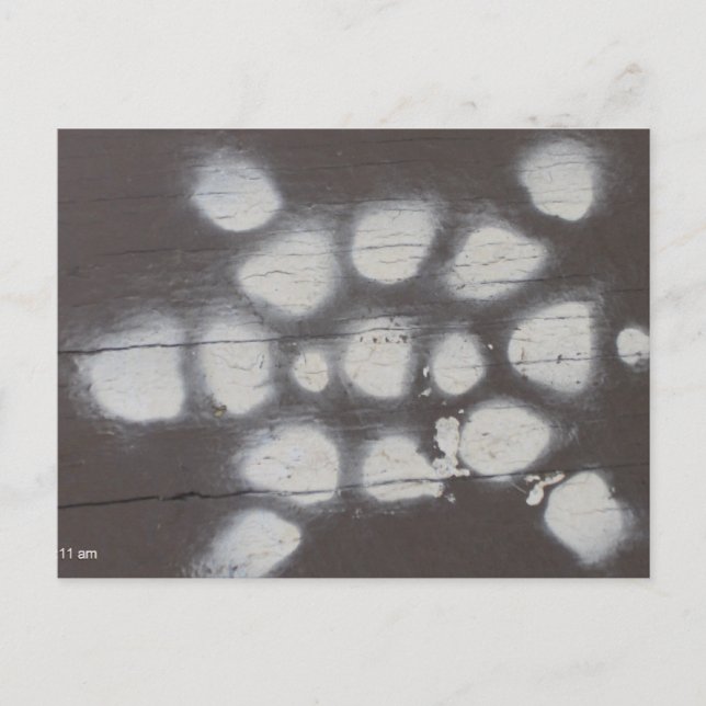 Schildkrötenüberquerung Postkarte (Vorderseite)