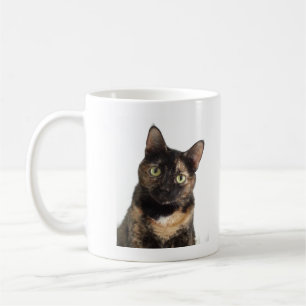 Schildpatt-Katze Kaffeetasse