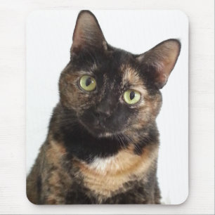 Schildpatt-Katze Mousepad