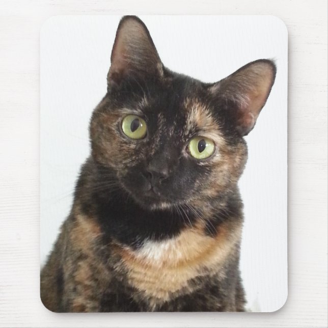 Schildpatt-Katze Mousepad (Vorne)